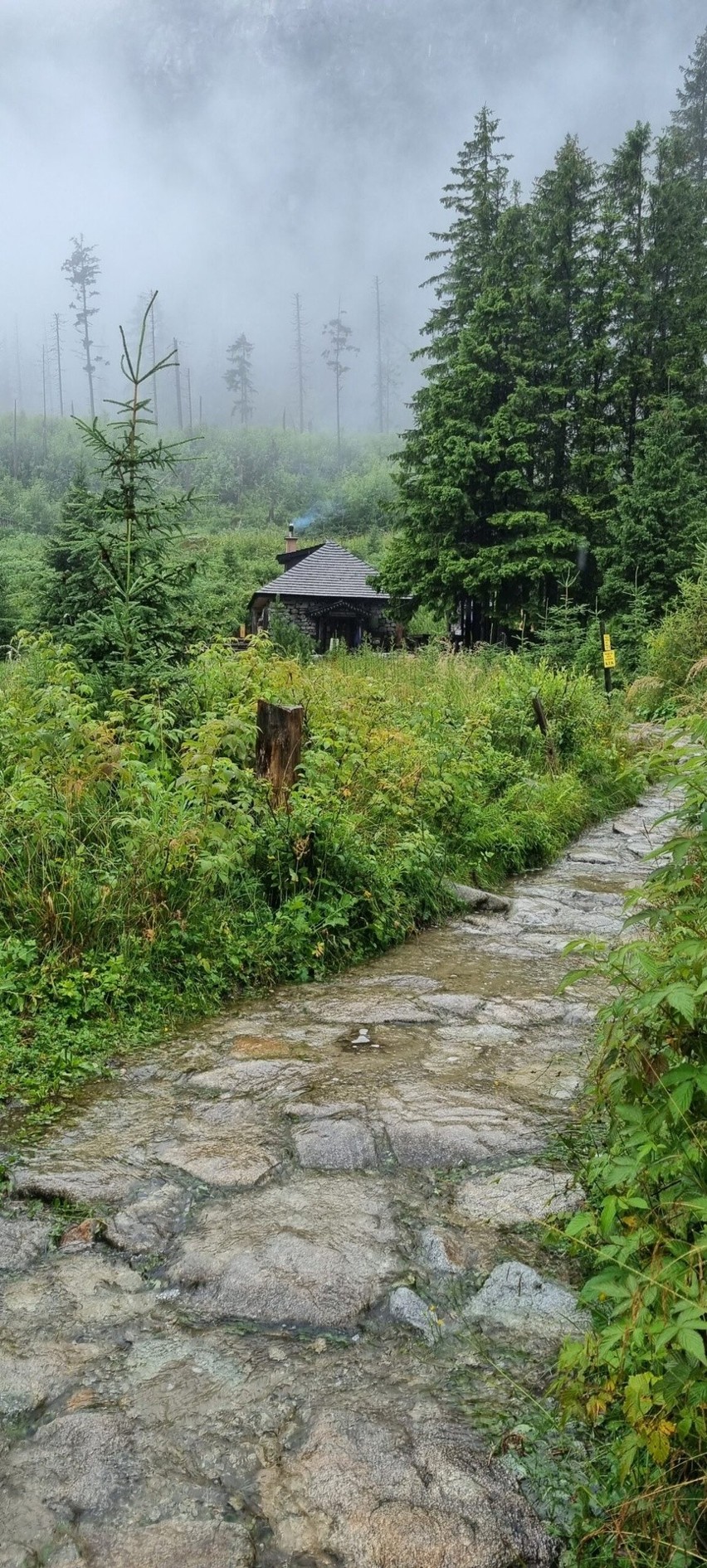 Zalane szlaki w Tatrach Słowackich. Podobna sytuacja...