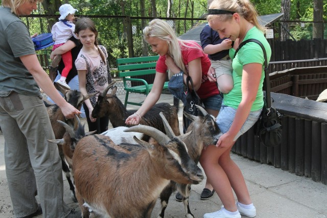 W Boże Ciało, na łodzian czekają m.in. pracownicy zoo