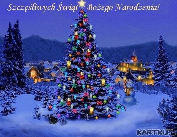 Kartki na Boże Narodzenie 2017: śmieszne. Kartki bożonarodzeniowe [KARTKI,  E-KARTKI ŚWIĄTECZNE] | Dziennik Polski