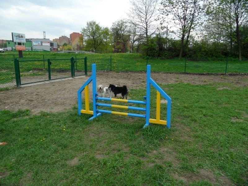 Park dla psów w Pszczynie