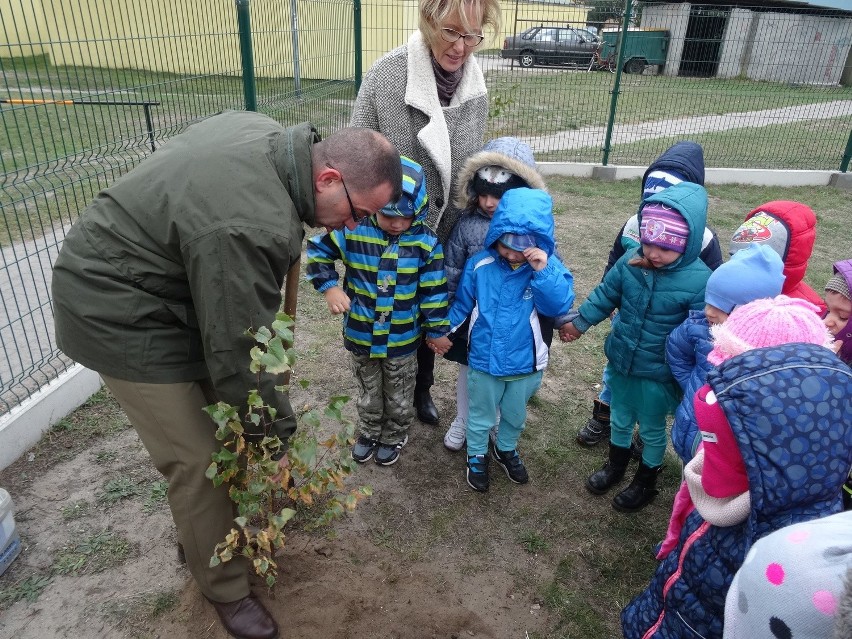 Święto Drzewa w Przedszkolu Miejskim nr 17 w Ostrołęce (zdjęcia)