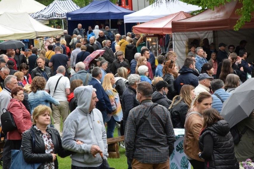 Tokarnia przeżyła oblężenie! Wspaniała niedziela na 5. Świętokrzyskim Festiwalu Smaków i nieprzebrane tłumy [WIDEO, FOTO]