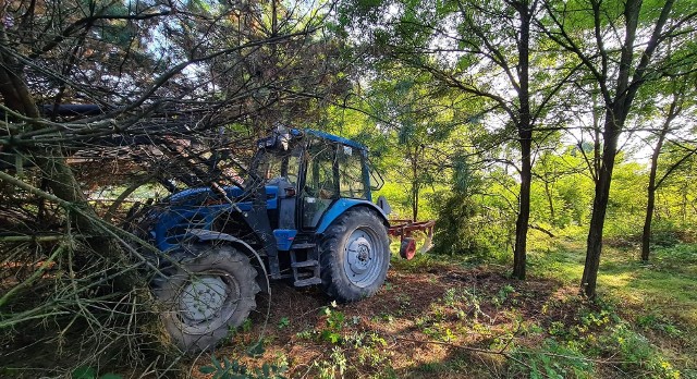 Prawie 3 promile alkoholu miał pijany traktorzysta w gminie Żytno