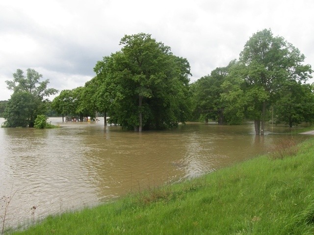 Powódź 2010, Przewóz