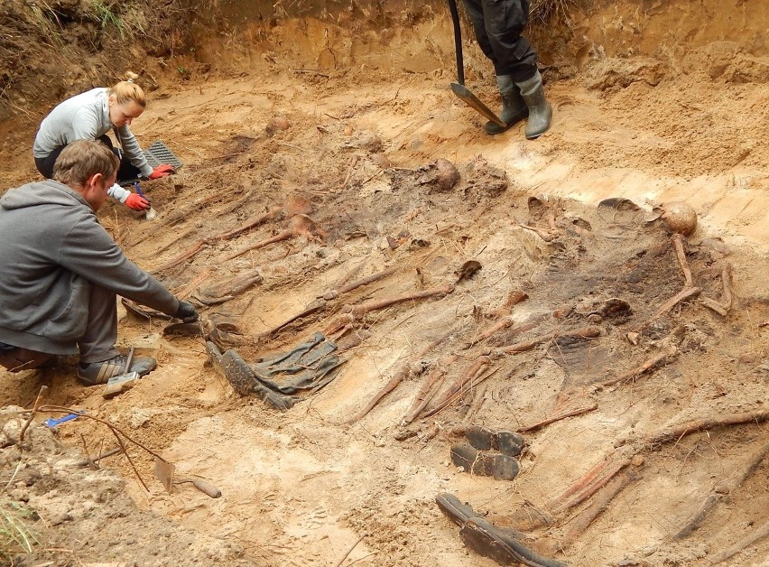 W Błotnie w gminie Zwierzyn archeolodzy odkryli szczątki...