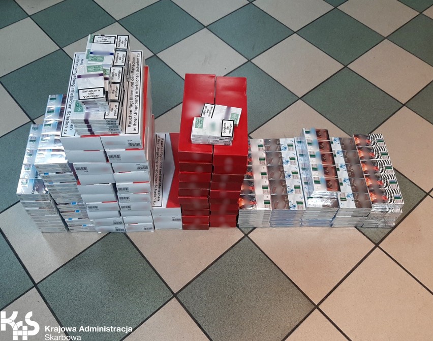 Tysiące nielegalnych papierosów wykryto w sklepie odzieżowym w Bydgoszczy [zdjęcia]
