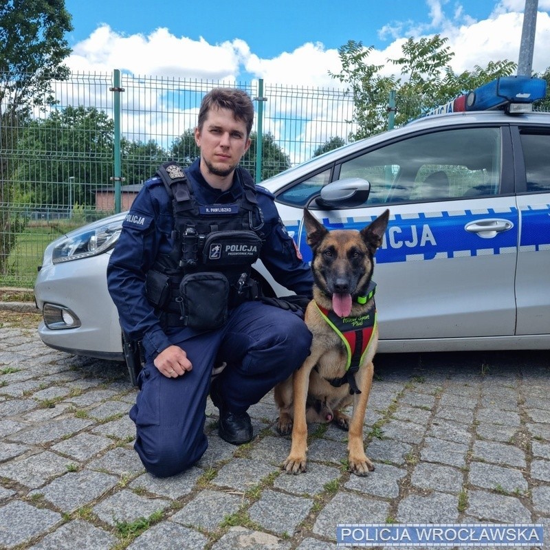 Baf służy w Policji od 6 lat jako pies patrolowo-tropiący.