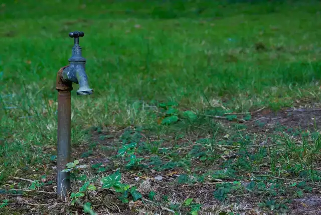 Susza rolnicza wciąż występuje, ale niedobory wody są mniejsze.