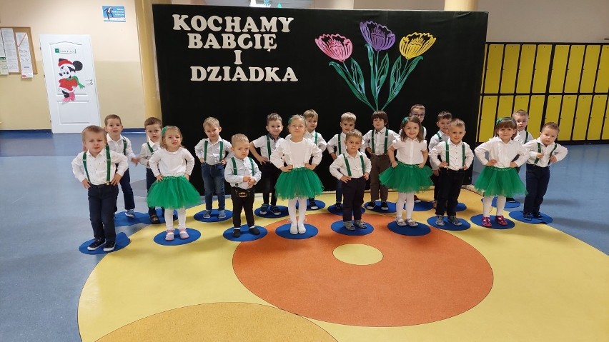 Dzieci z Przysuchy, z przedszkola numer 3, złożyły życzenia z okazji Dnia Babci i Dnia Dziadka