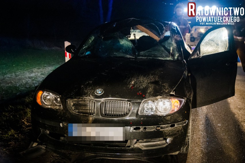 Wypadek na DK 65. BMW zderzyło się z łosiem (zdjęcia)