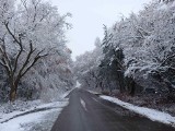 Pogoda na nowy tydzień od 28 listopada do 3 grudnia. Śnieg i mróz w województwie łódzkim. Pogoda na 28.11.2023