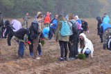Chlewiska. Z inicjatywy inowrocławskiego starostwa odbyła się akcja sadzenia drzew. Zdjecia