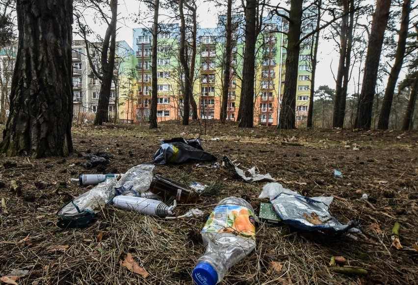 Tygodnik Fordon. Świąteczne 16-stronnicowe wydanie już dziś!