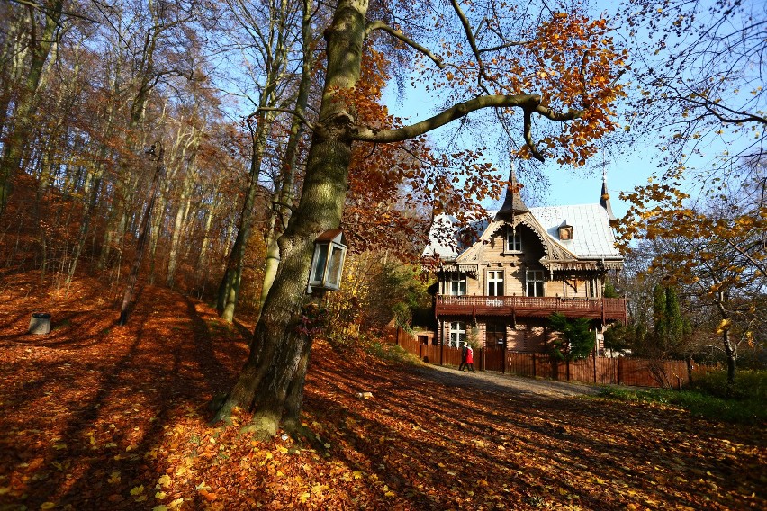 Magiczne zakątki Gdańska. Park Leśny jesienią