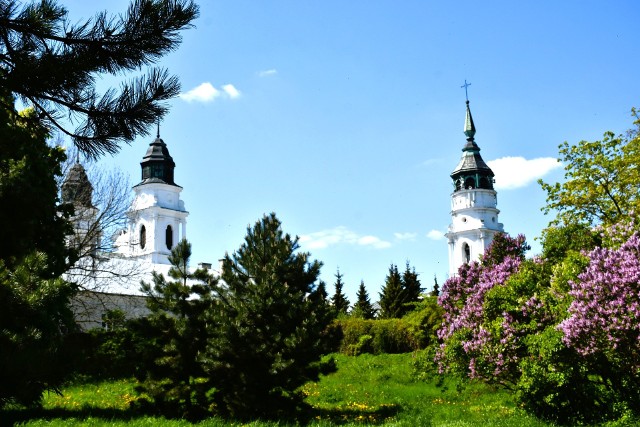 Chełmska Bazylika NNMP i dzwonnica w Chełmie widok od strony parku. Fot