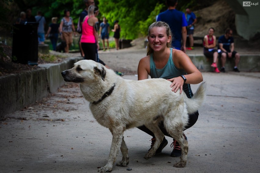 Charytatywny bieg Szczecin Run Hau 2019. Pobiegli w szczytnym celu [ZDJĘCIA]