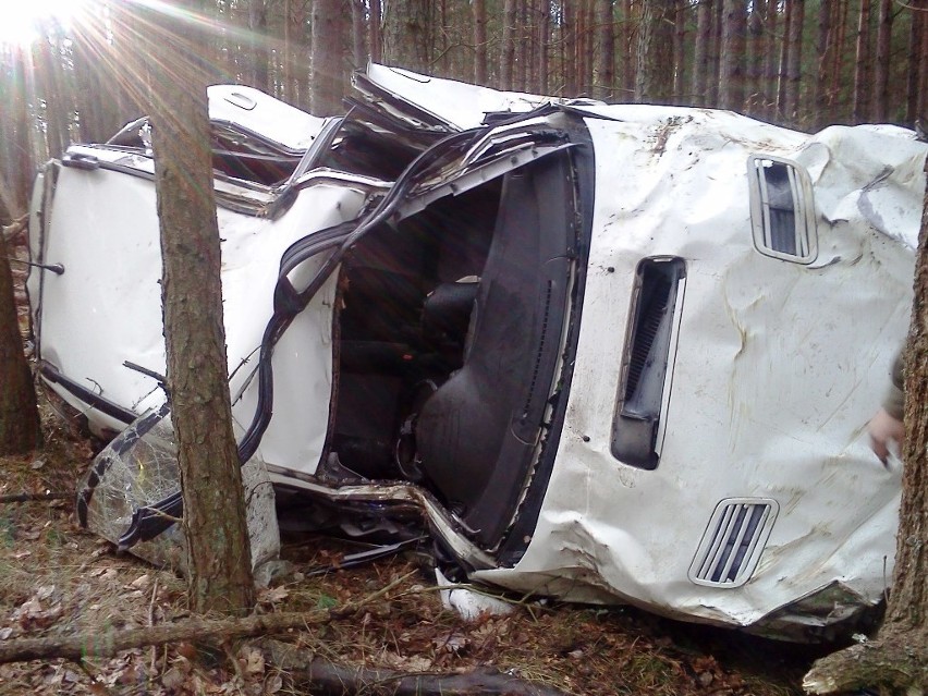 Subaru wylądowało w lesie, samochód całkowicie zniszczony.  Kierowcy nic się nie stało [zdjęcia]