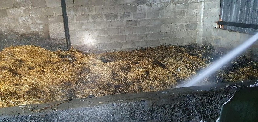 Gmina Iłża: spaliła się stodoła ze zbiorami siana w Seredzicach