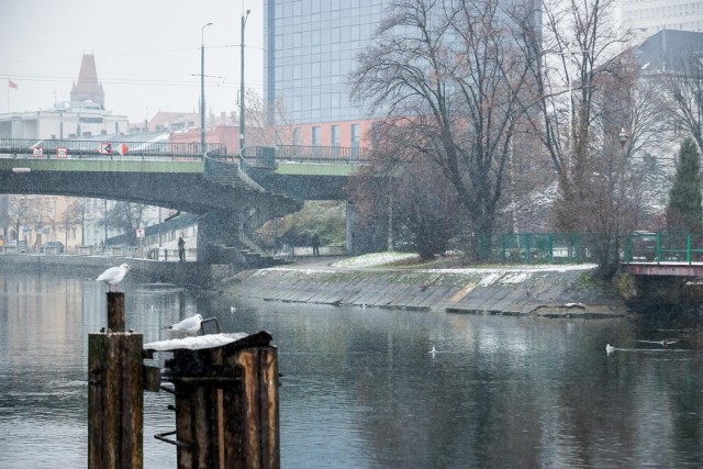 Miasto jest zdeterminowane, by przeprowadzić modernizację kolejnego odcinka bulwarów nad Brdą i chce negocjować cenę z potencjalnymi wykonawcami.