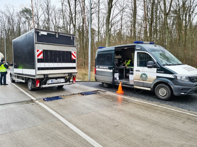 Pięć pojazdów o zdecydowanie zawyżonym tonażu zatrzymali inspektorzy zachodniopomorskiej i dolnośląskiej Inspekcji Transportu Drogowego. W dwóch przypadkach zastrzeżenia dotyczyły także stanu technicznego. Dalsza jazda przeładowanych pojazdów możliwa była po częściowym rozładunku przewożonych towarów.