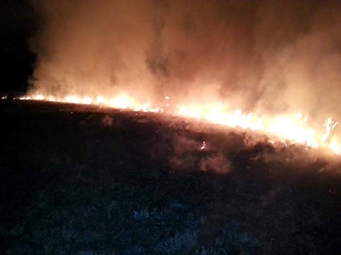 Informacja o pożarze w Biebrzańskim Parku Narodowym dotarła...