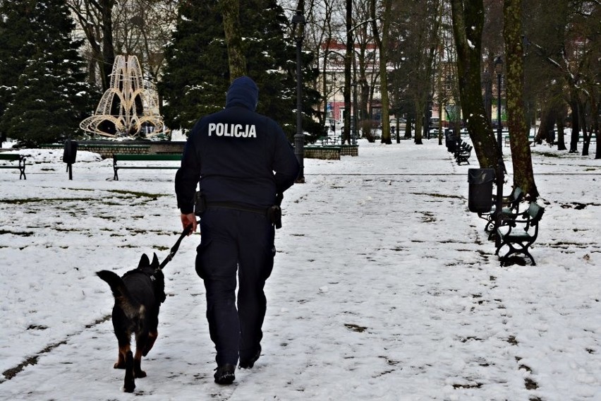 Pies policyjny Zdzisiek dołączył do suwalskiej policji