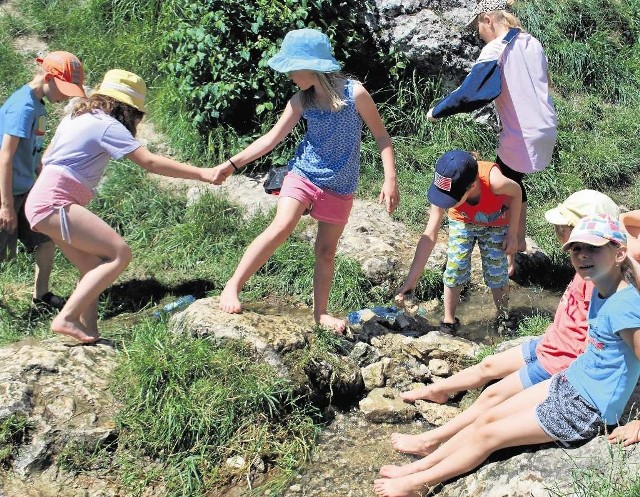 Dzieci z gminy Zabierzów na wycieczce do Doliny Bolechowickiej