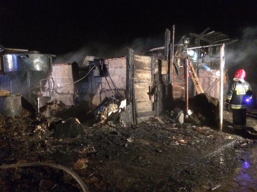 Pożar stodoły w Orlu. Spaliły się maszyny rolnicze [ZDJĘCIA]