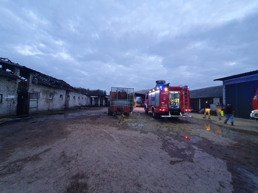 Pożar stodoło-obory w Klimontach (gmina Stary Lubotyń). 4.05.2022. Zdjęcia