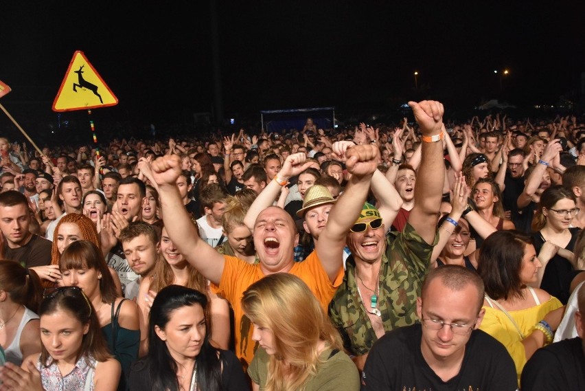 Festiwal reggae w Wodzisławiu Śl. odbędzie się w ostatni...