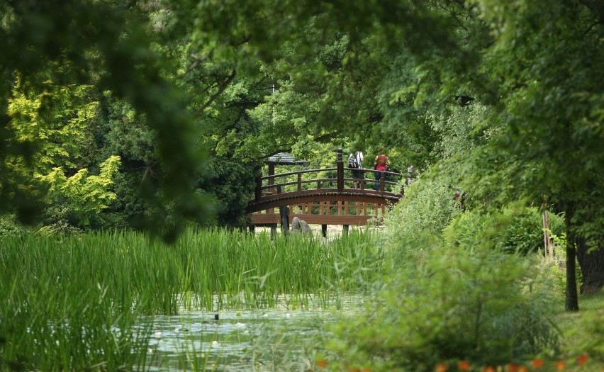 To jeden z największych parków Wrocławia, mierzący około 100...