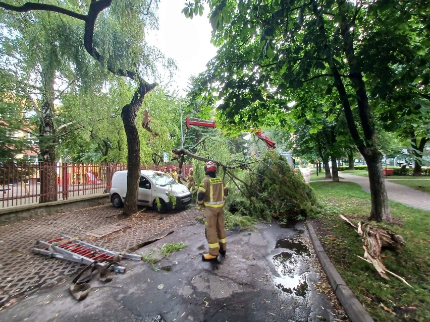 Podczas nocnej burzy w Lublinie jedno z drzew złamało się i...