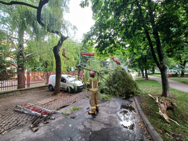 Podczas nocnej burzy w Lublinie jedno z drzew złamało się i konar spadł na zaparkowany samochód. Na szczęście nikomu nic się nie stało.