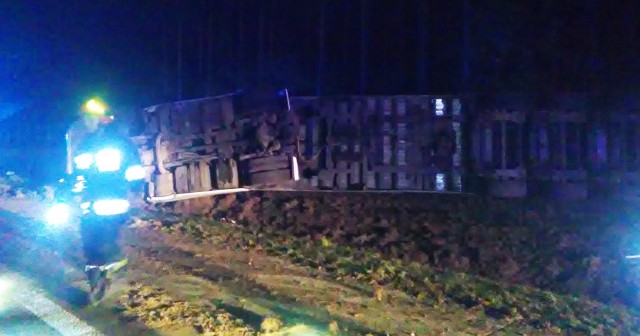 Do wypadku samochody ciężarowego doszło w środę 18 października po godz. 4:00 nad ranem na drodze krajowej nr 18 w kierunku Olszyny. Ciężarówka przewróciła się na poboczu. Ze wstępnych ustaleń policji wynika, że kierowca ciężarówki najprawdopodobniej wpadł w poślizg i stracił panowanie nad kierownicą. Ciężarówka wypadła z drogi i przewróciła się. Przewoziła ładunek zrębów drzewa.Na miejsce przyjechała żarska policja, dwa zastępcy strażaków zawodowych z jednostki w Żarach oraz jednostka OSP z Lipinek Łużyckich. Strażacy zabezpieczyli przewróconą ciężarówkę.Zobacz też wideo: Wypadek na S3 koło Zielonej Góry. Spłonęły dwie cieżarówkiPrzeczytaj też:  Wypadek na starej "trójce" w Gorzowie. Nie żyje kierowca ciężarówki, przewożącej indyki