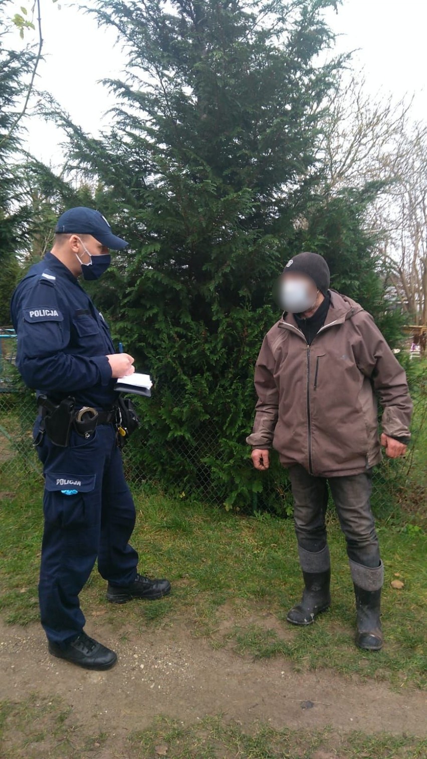 Koszalińscy policjanci wspólnie z funkcjonariuszami Straży...