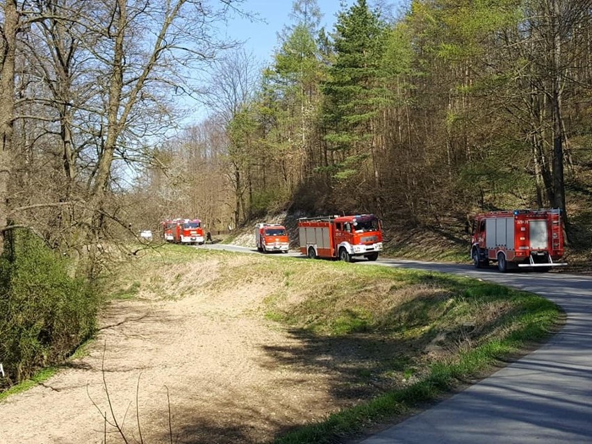 W Zerwanej zagubił się 13-latek. Został odnaleziony w lesie