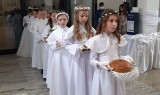 Ostrołęka. Komunia Święta w kościele pw. św. Franciszka z Asyżu, 15.05.2021