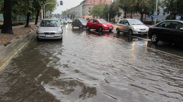 Czytelnik Michał / Głos Wielkopolski