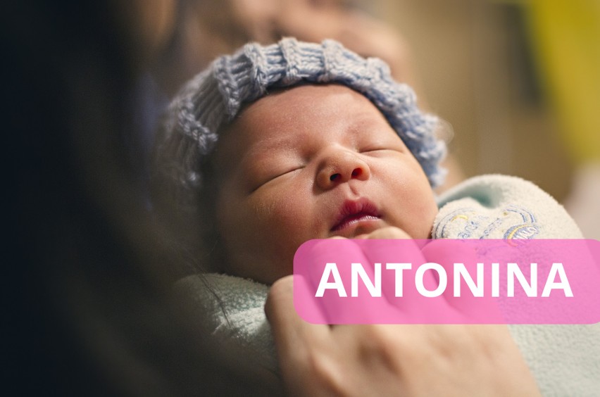 Antonina...