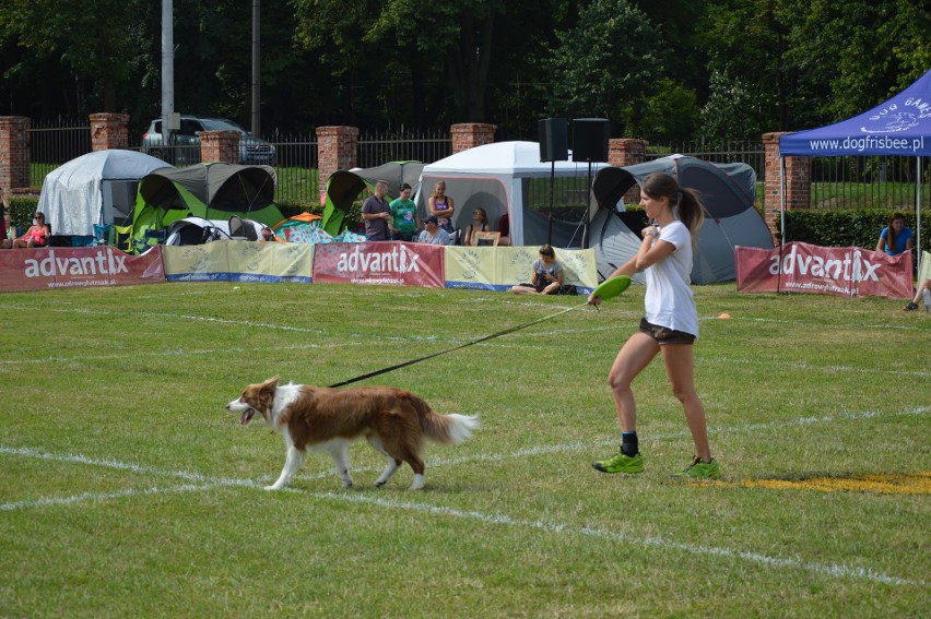 "Latające psy" 2018 w gdyńskim Parku Kolibki, czyli emocjonujące zawody w dogfrisbee