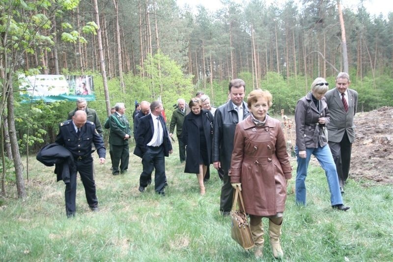VIP-owie poszadzili młody las we Włocławku