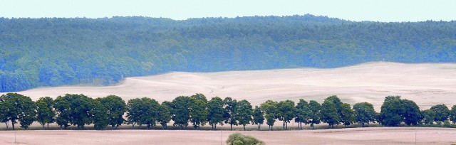 Cedyńskie Karpaty w okolicach Mętna.