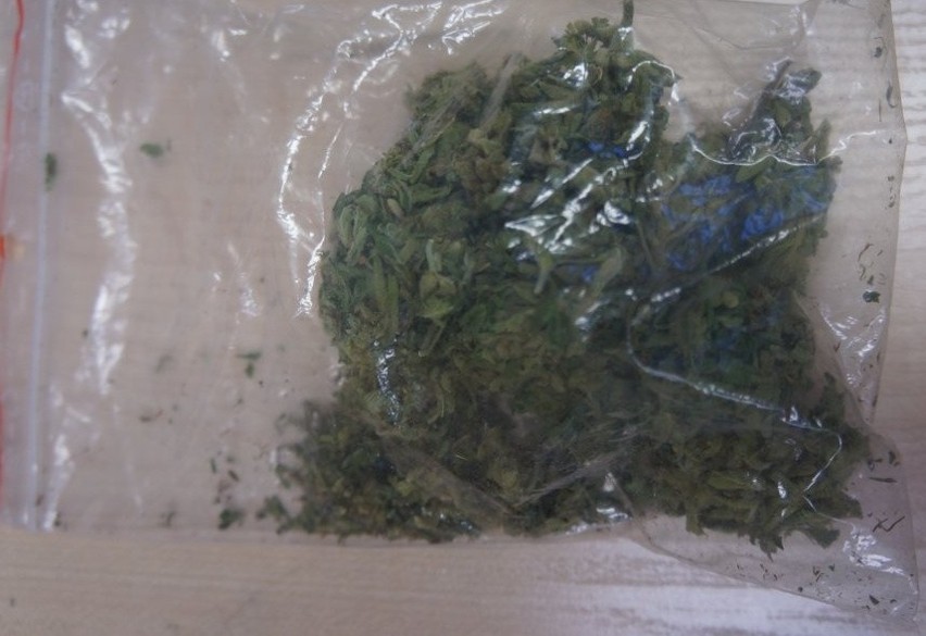 Policjanci znaleźli susz marihuany i bardzo nietypową...