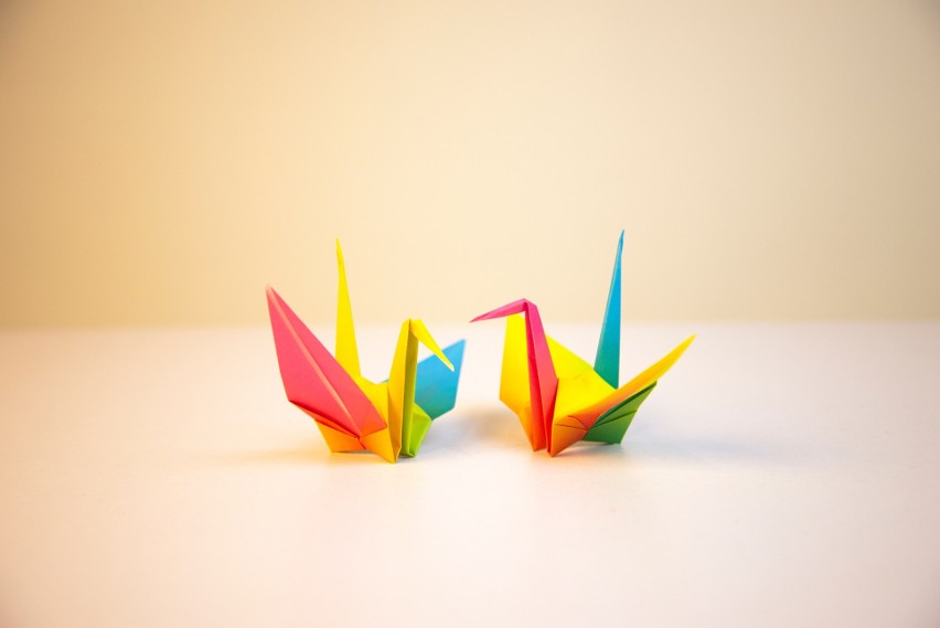 Origami to rozwijające zajęcie dla dzieci i dorosłych.