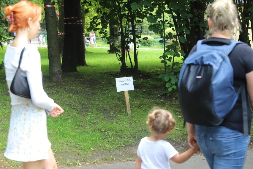 Domowe sposoby na kleszcze. Jakich zapachów nie lubią...