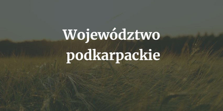 Najpopularniejsze nazwy wsi w województwie (wraz z ilością...