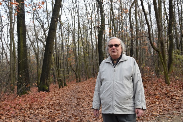 Wycinka w Siemianowicach Śląskich. Społecznik walczy o ocalenie drzew