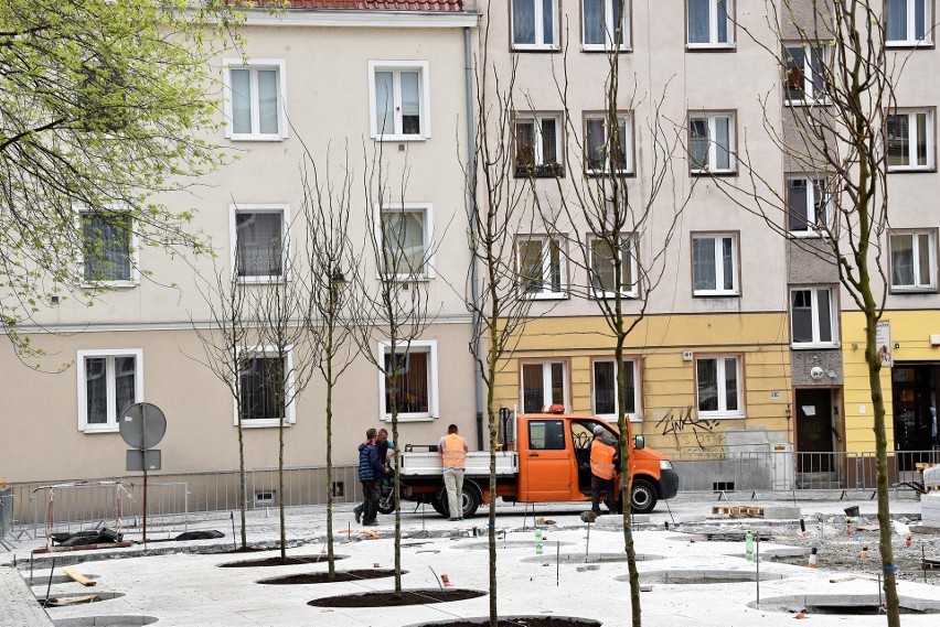 Pierwsze nowe drzewa na rewitalizowanym pl. św. Sebastiana w...