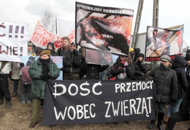 Obrońcy zwierząt protestowali w Skaryszewie przeciwko biciu koni i złym warunkom transportu zwierząt.