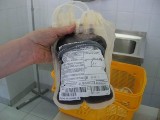 Caritas prowadzi zbiórkę krwi na Rynku w Rzeszowie